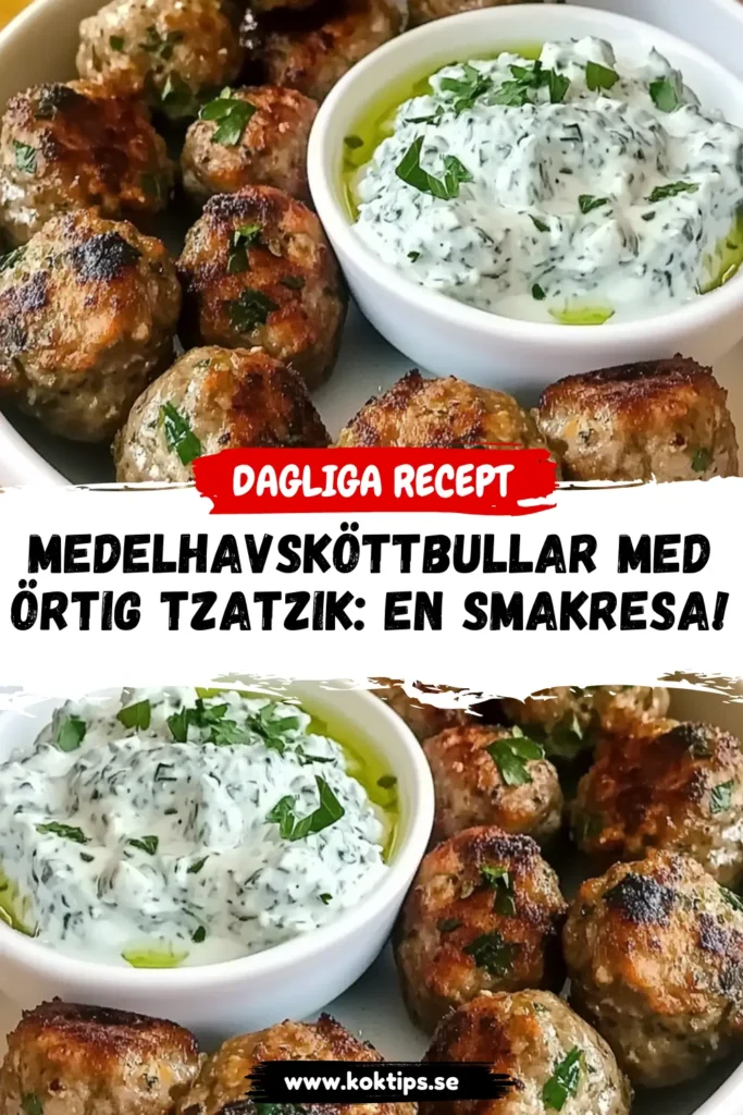 Medelhavsköttbullar