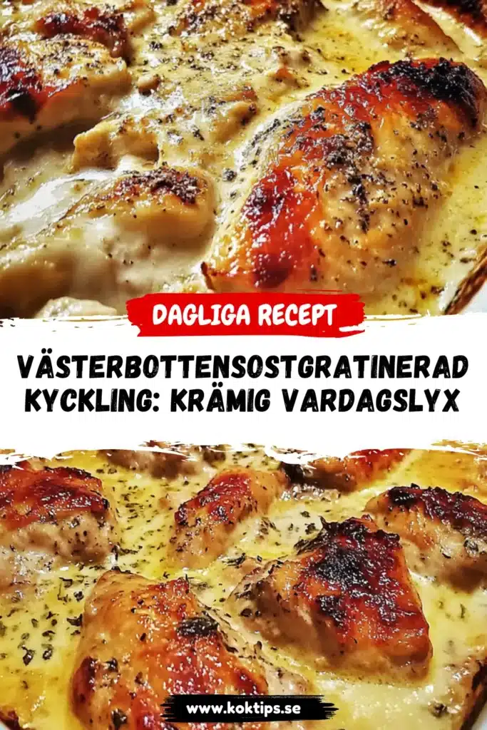 Sostgratinerad kyckling