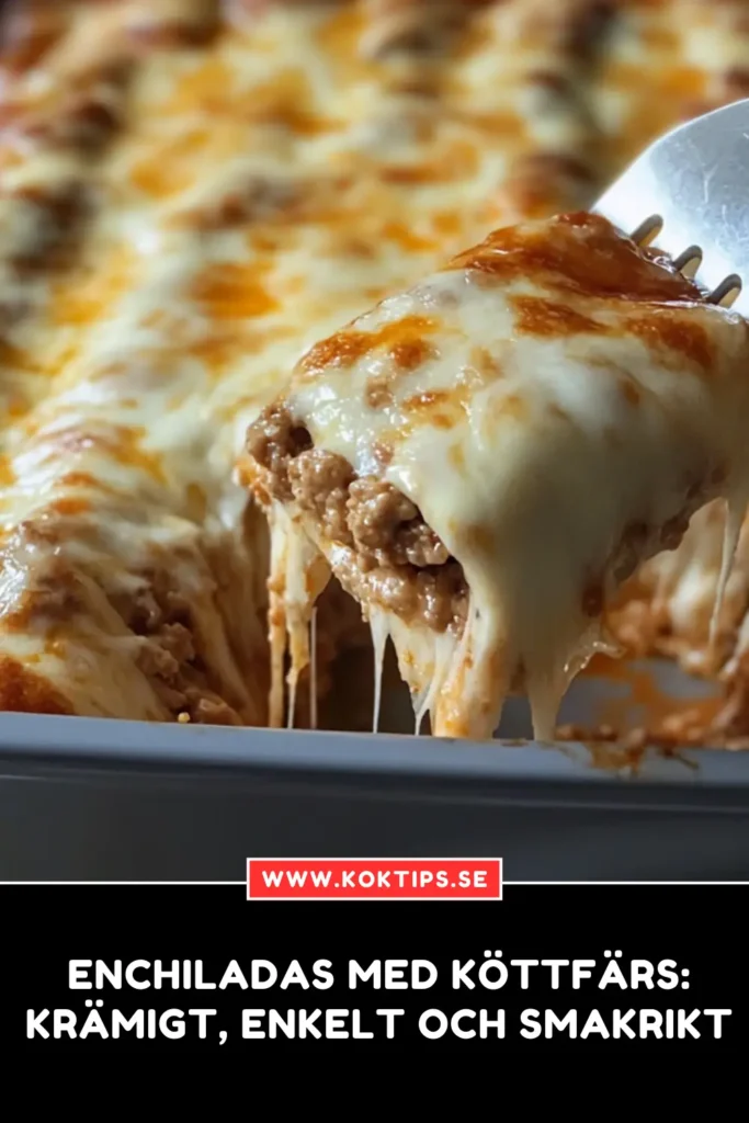 Enchiladas med köttfärs