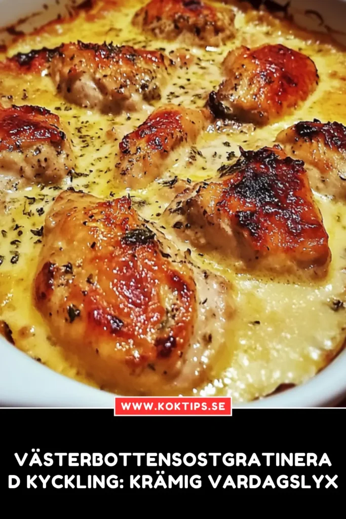 Sostgratinerad kyckling