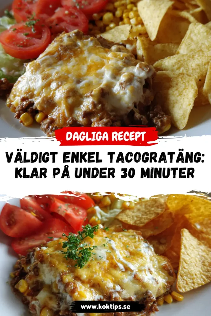 tacogratäng