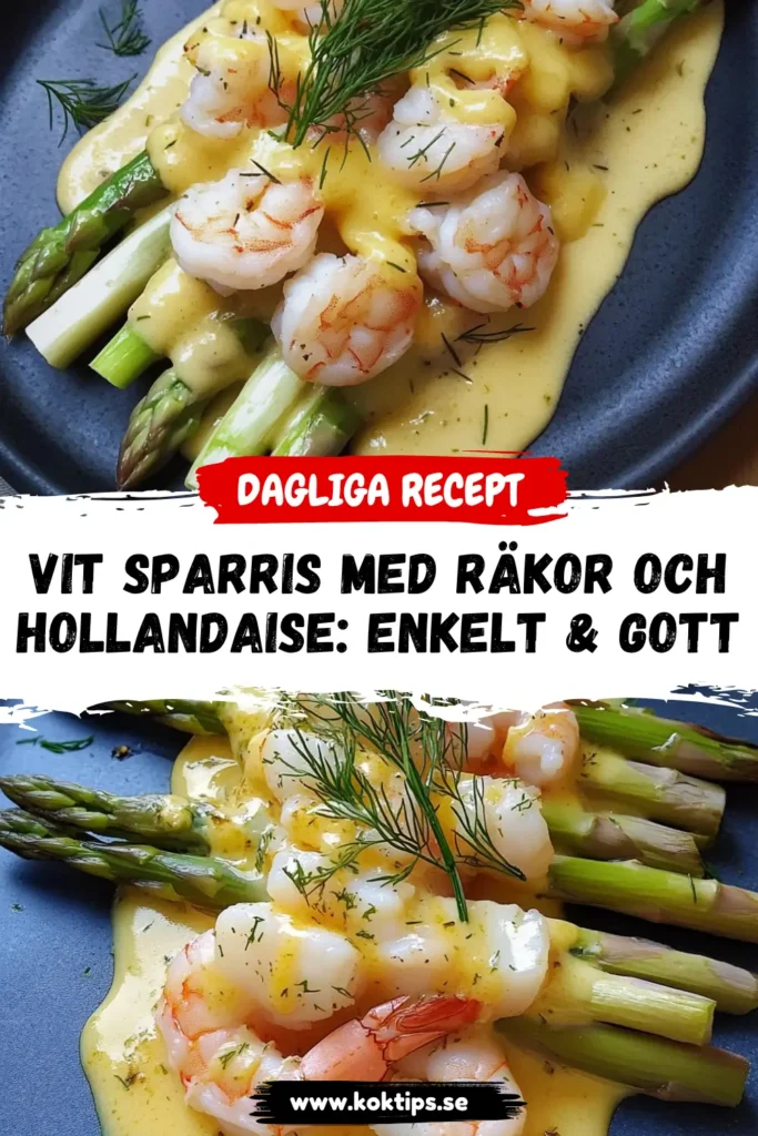 Vit sparris med räkor och hollandaise