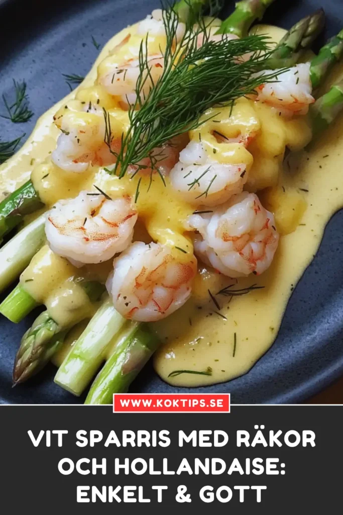 Vit sparris med räkor och hollandaise
