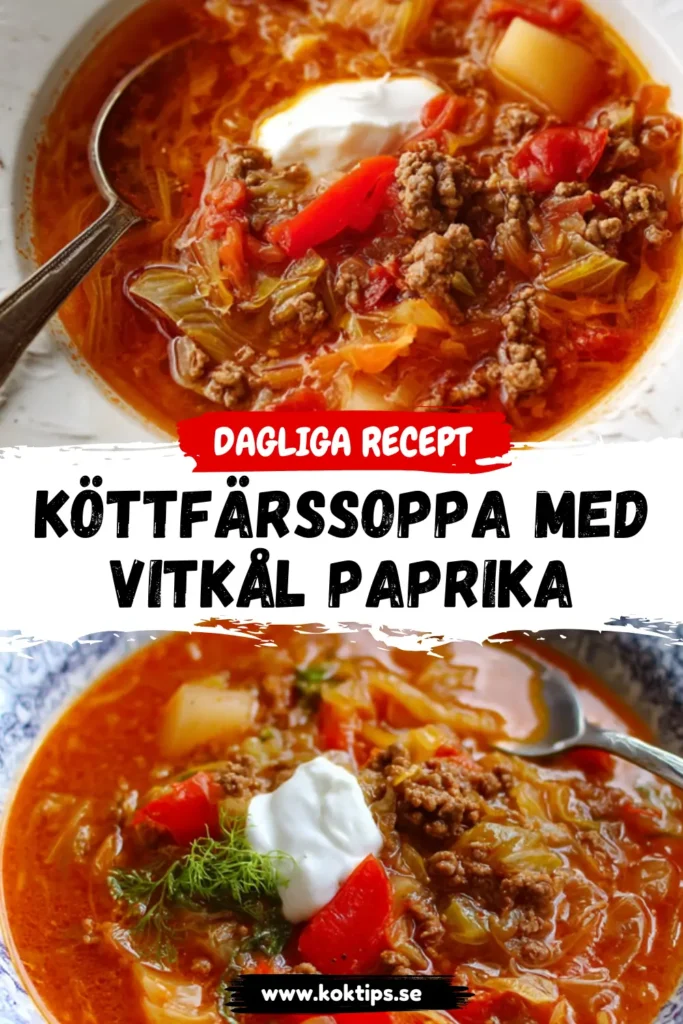 Köttfärssoppa med vitkål paprika
