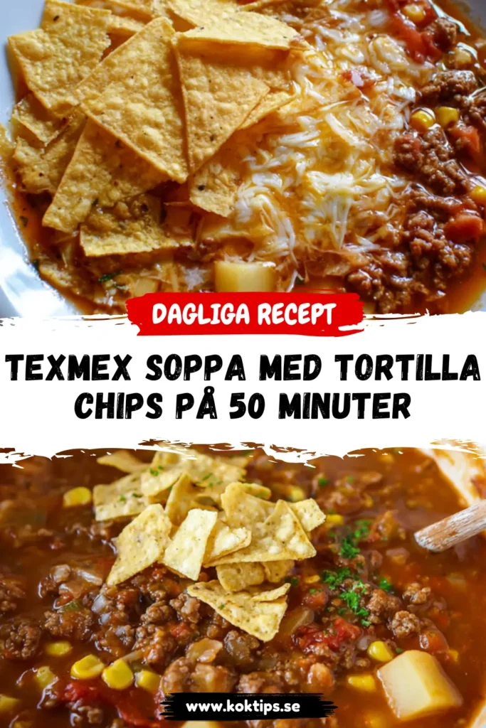 TexMex soppa med tortillachips på 50 minuter