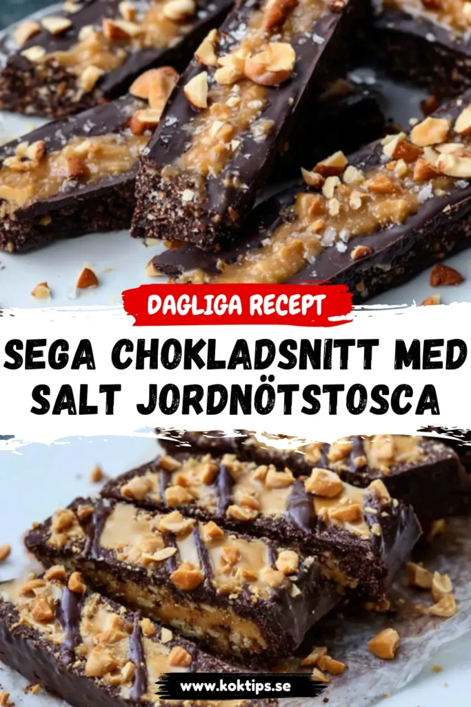 Sega chokladsnitt med salt jordnötstosca