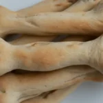 Benbröd: Roliga bröd till Halloween