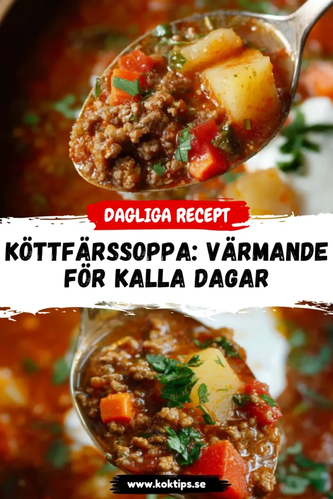 Köttfärssoppa: värmande för kalla dagar