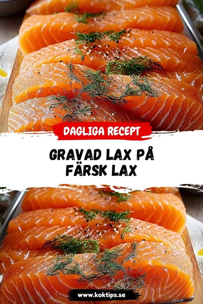 Gravad lax på färsk lax