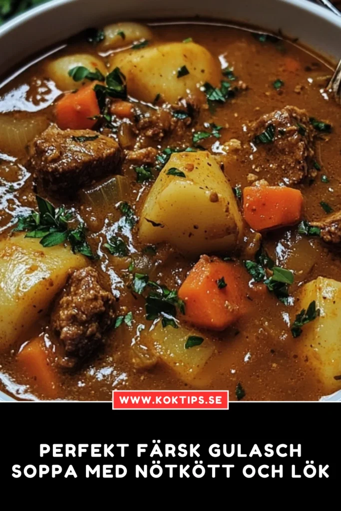 Perfekt Färsk gulaschsoppa med nötkött och lök