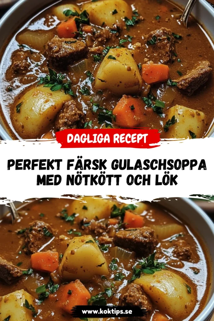 Perfekt Färsk gulaschsoppa med nötkött och lök