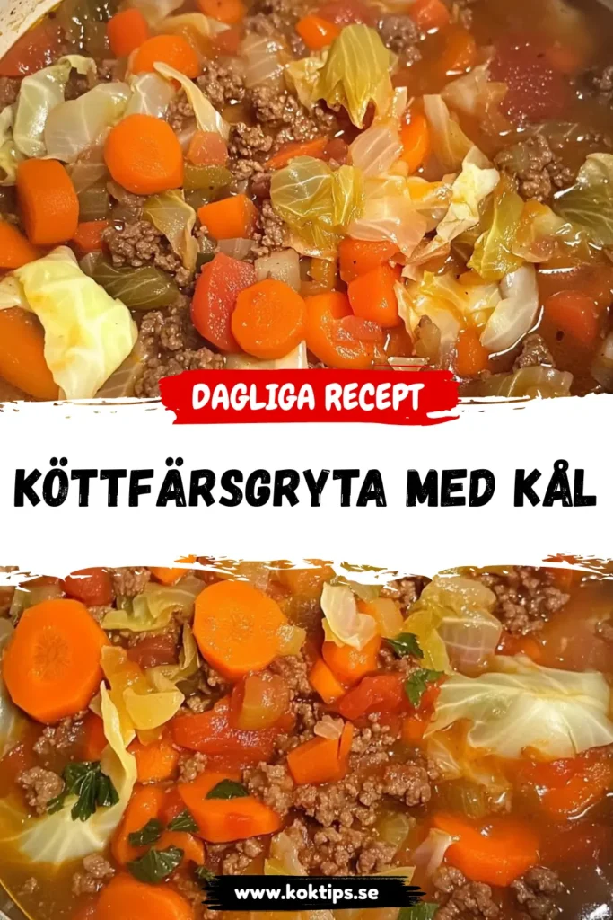 Köttfärsgryta Med Kål