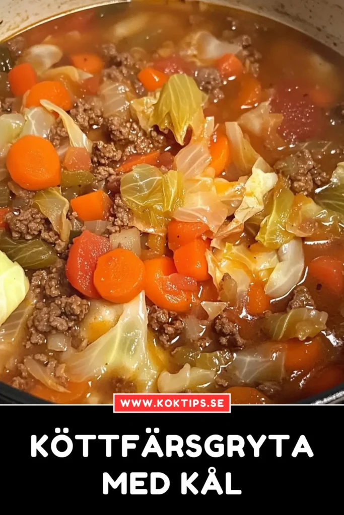 Köttfärsgryta Med Kål