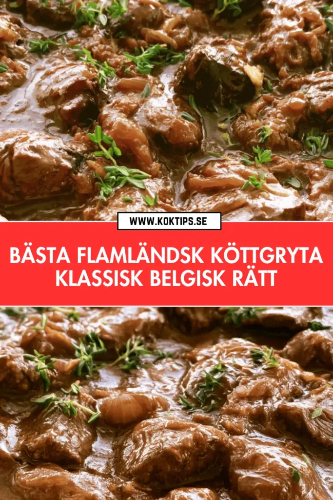 Flamländsk köttgryta hemlagad och fyllig: så lyckas du med det belgiska originalet