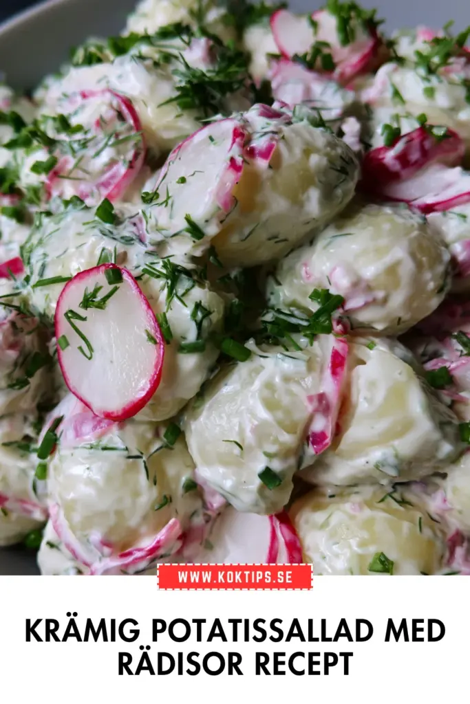 Krämig potatissallad: ett enkelt och fräscht sommarrecept med rädisor