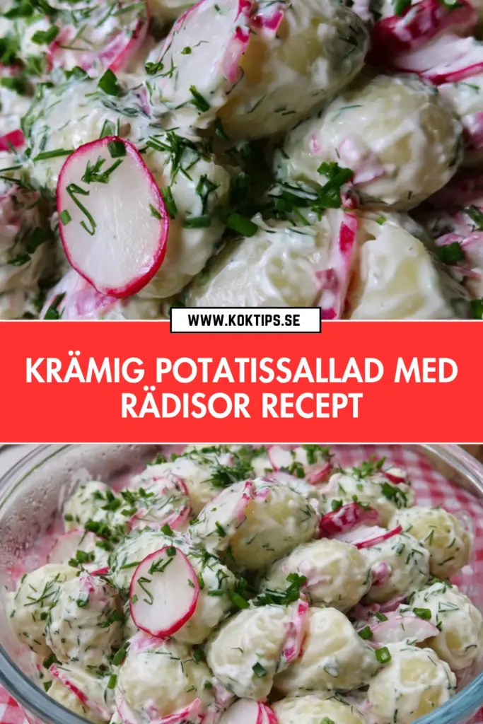 Krämig potatissallad: ett enkelt och fräscht sommarrecept med rädisor