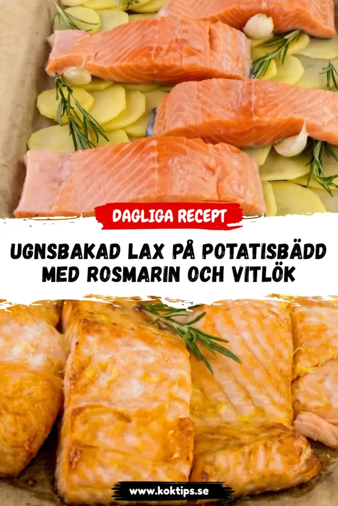 Ugnsbakad lax på potatisbädd med rosmarin och vitlök