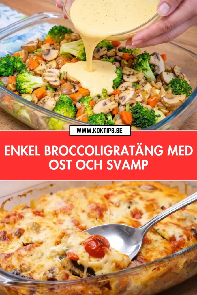 Enkel broccoligratäng med ost och svamp: det bästa hemlagade receptet
