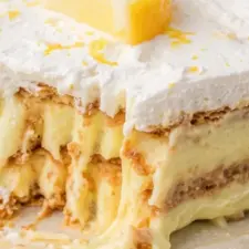 Citroniskaka med Digestivebotten Recept