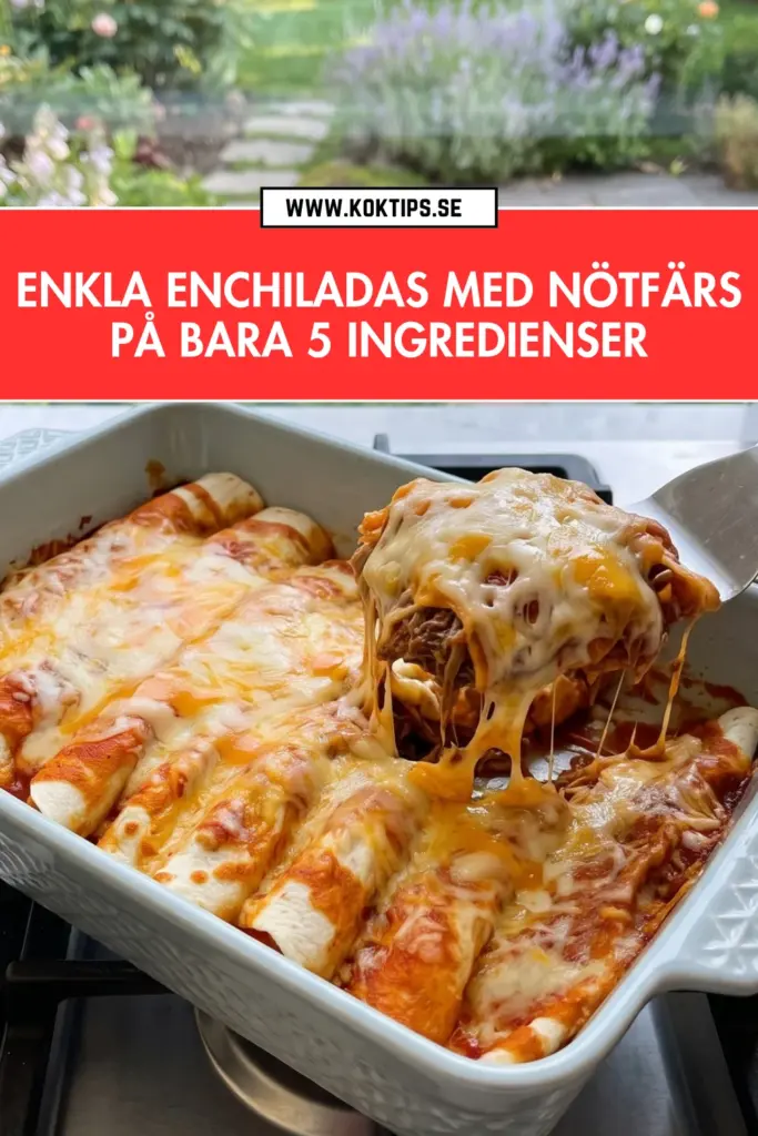 Enchiladas med nötfärs på bara 5 ingredienser: enkelt, mättande och fullständigt oemotståndligt