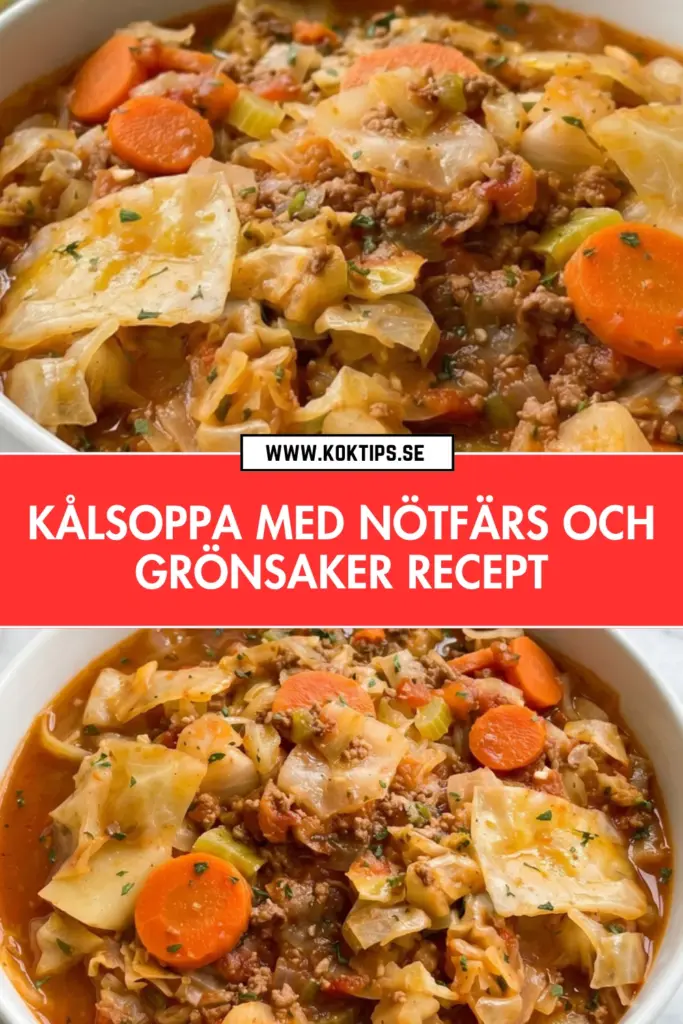 Kålsoppa med nötfärs: det bästa hemlagade receptet för hela familjen