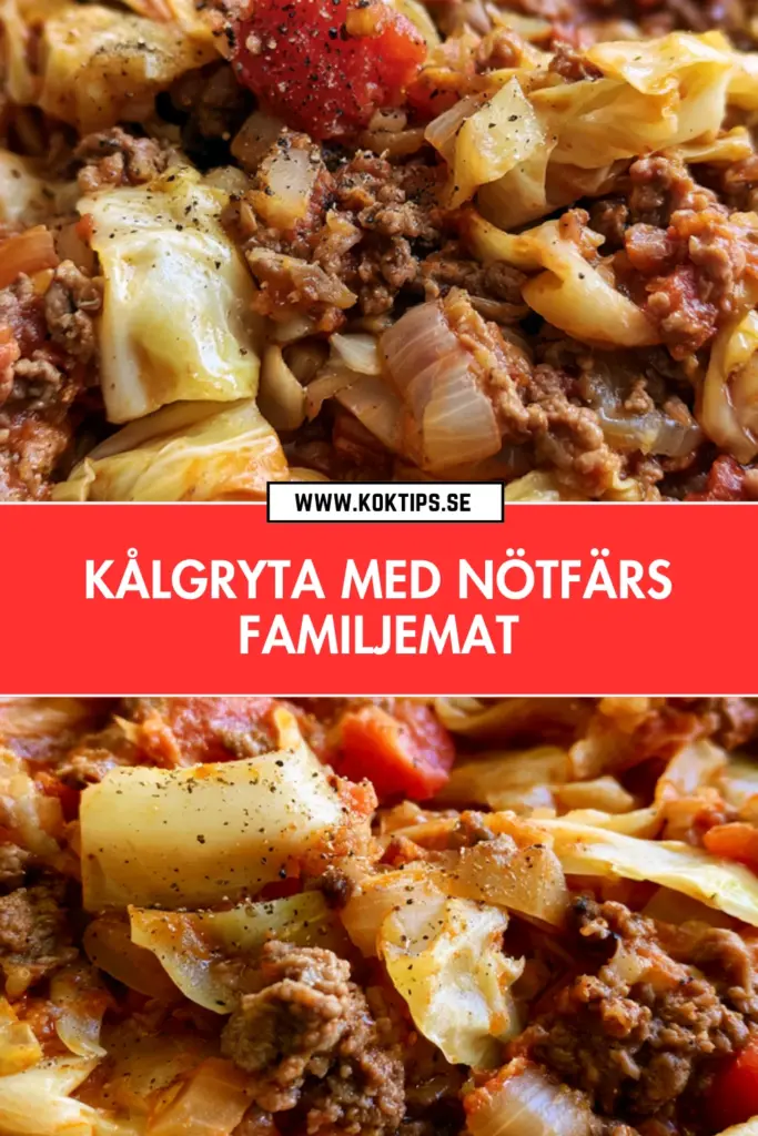 Kålgryta med nötfärs: det bästa receptet för hela familjen