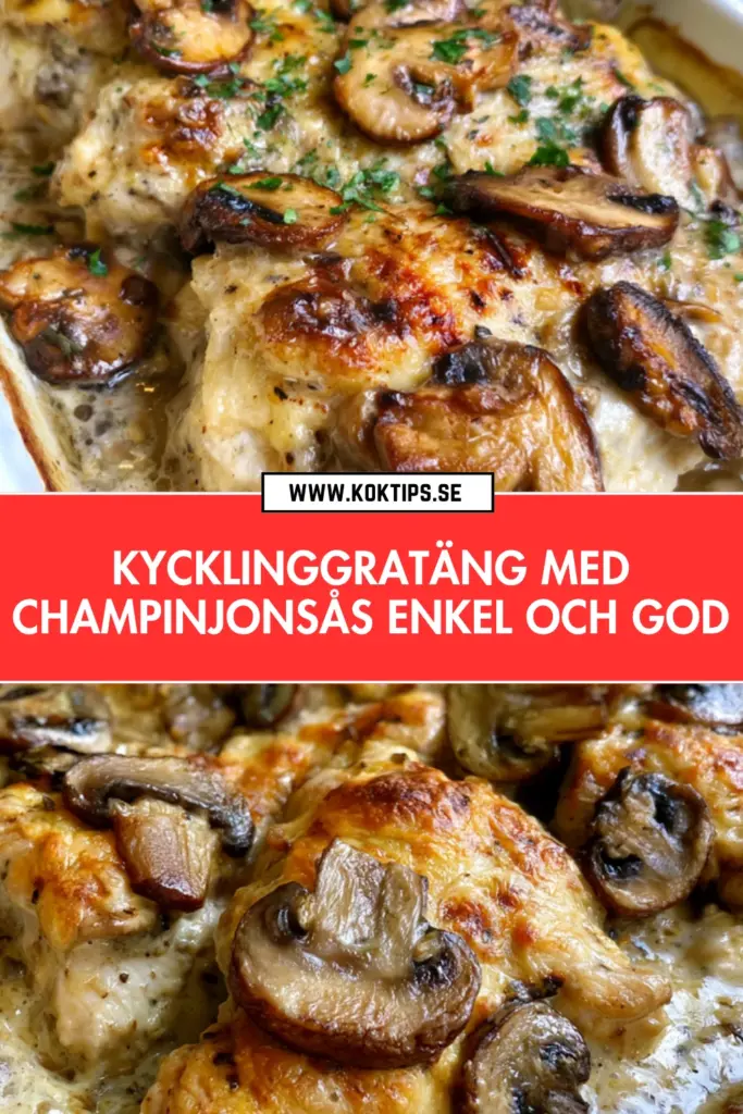Kycklinggratäng med champinjonsås: det enklaste och godaste receptet du kommer laga i år